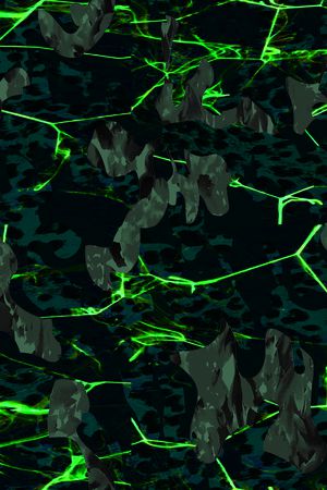 豹纹印花华亿平台图片