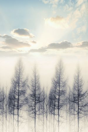 树枝印花华亿平台图片