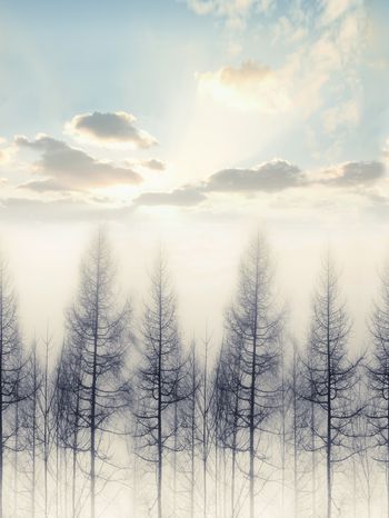 1357900-冬日暖阳-ok