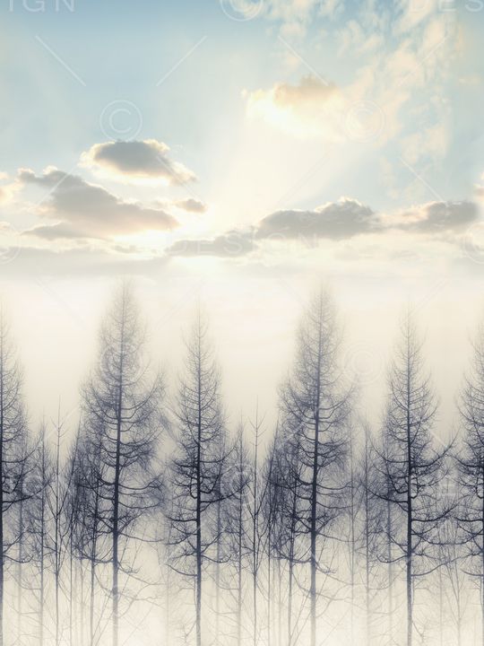 树枝印花华亿平台图片