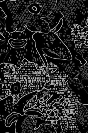 线条印花华亿平台图片