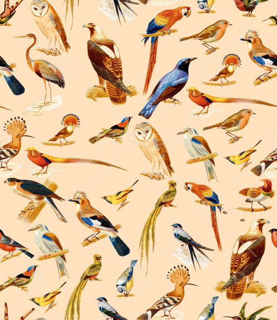 鸟印花华亿平台图片