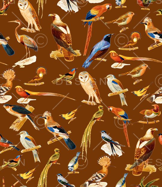 鸟印花华亿平台图片