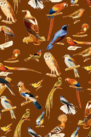 鸟印花华亿平台图片