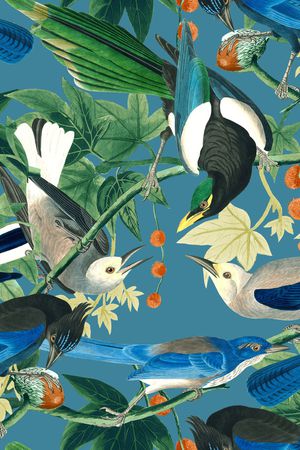 鹦鹉印花华亿平台图片