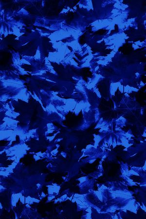 字母印花华亿平台图片