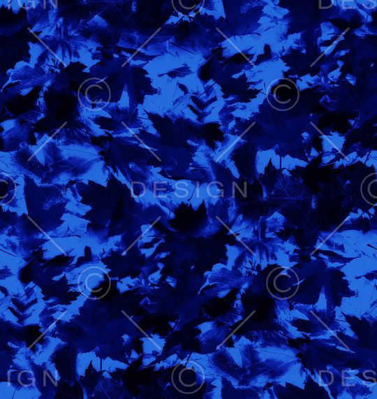 字母印花华亿平台图片