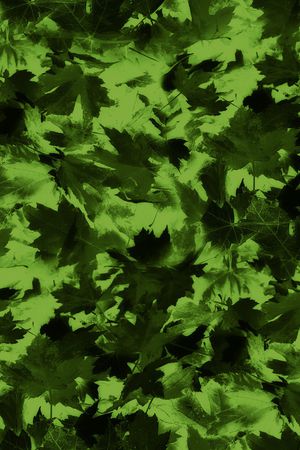 字母印花华亿平台图片