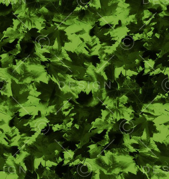 字母印花华亿平台图片