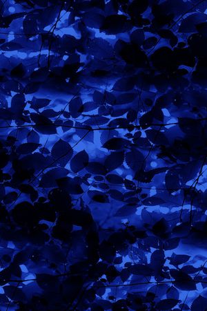 字母印花华亿平台图片