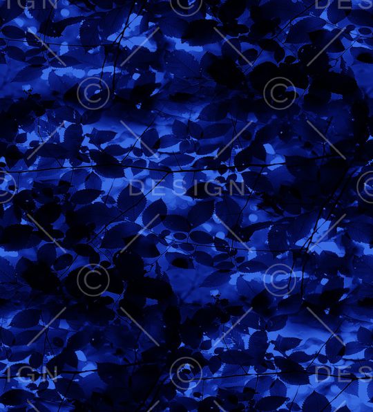 字母印花华亿平台图片