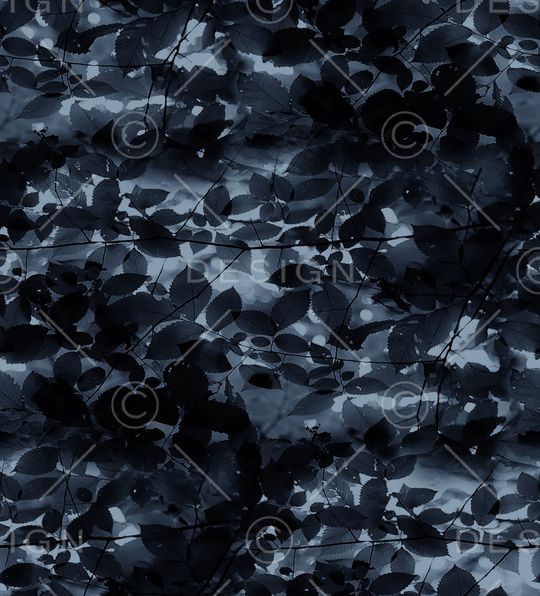 字母印花华亿平台图片