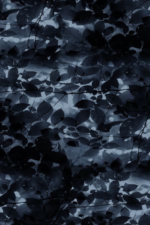 字母印花华亿平台图片