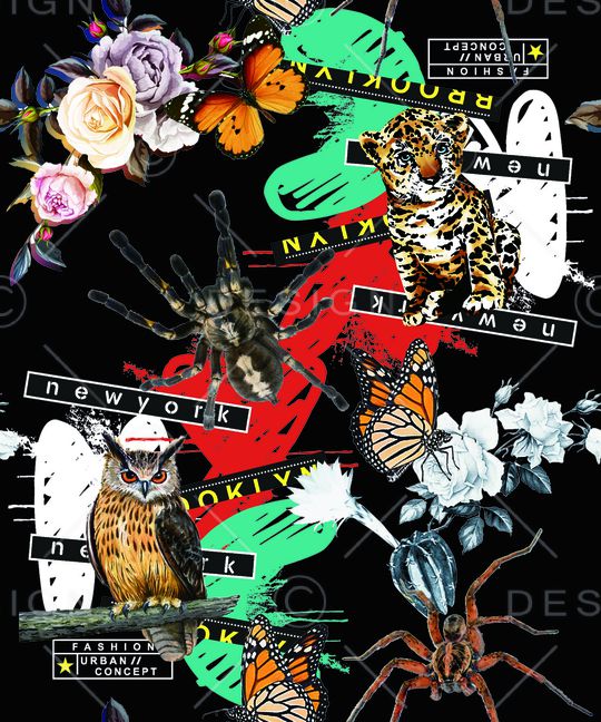 字母印花华亿平台图片