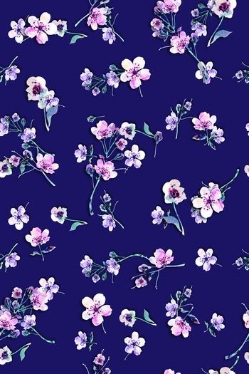 1359278-沃梯艾琥