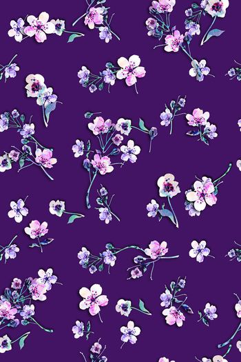 1359279-沃梯艾琥