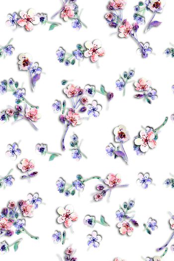 1359283-沃梯艾琥