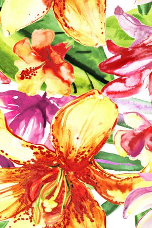 连体泳装印花华亿平台图片