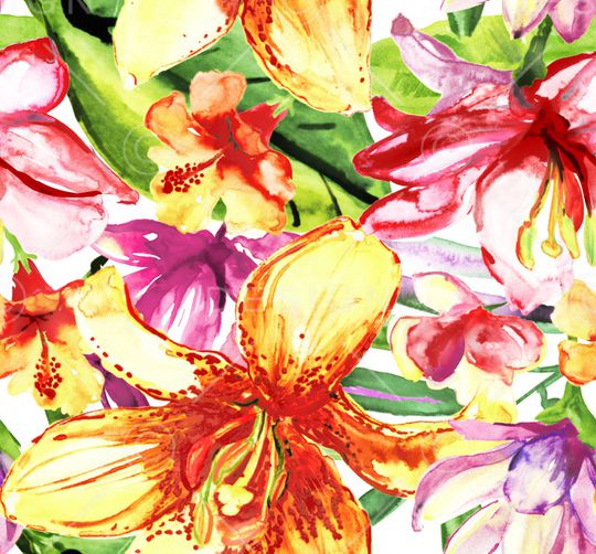 连体泳装印花华亿平台图片