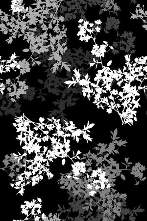 黑白华亿平台印花华亿平台图片