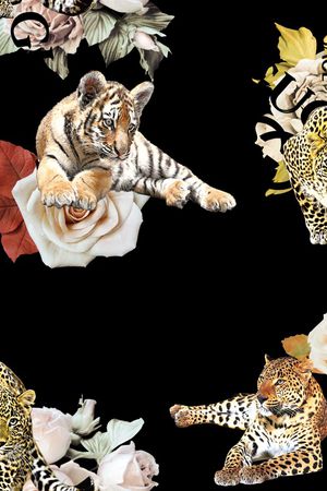 动物印花华亿平台图片