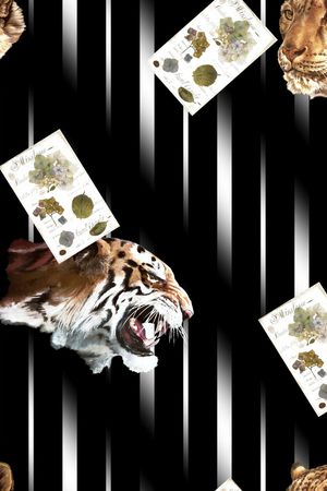 动物印花华亿平台图片