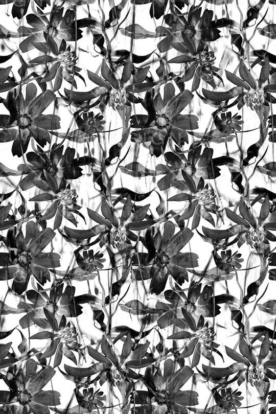 肌理印花华亿平台图片