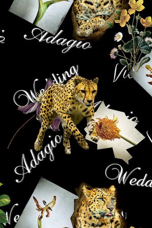 动物印花华亿平台图片