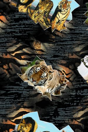 老虎印花华亿平台图片