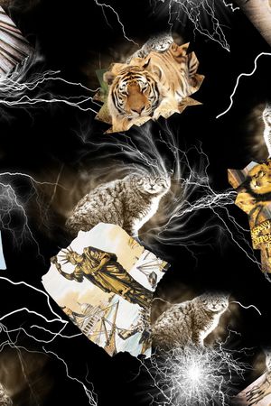 老虎印花华亿平台图片