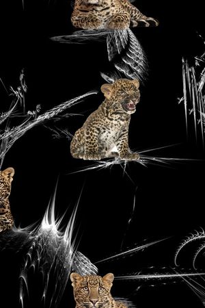 动物印花华亿平台图片