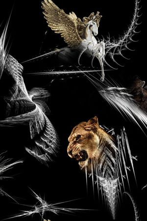 动物印花华亿平台图片