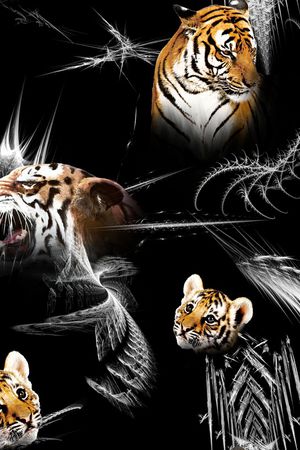 老虎印花华亿平台图片