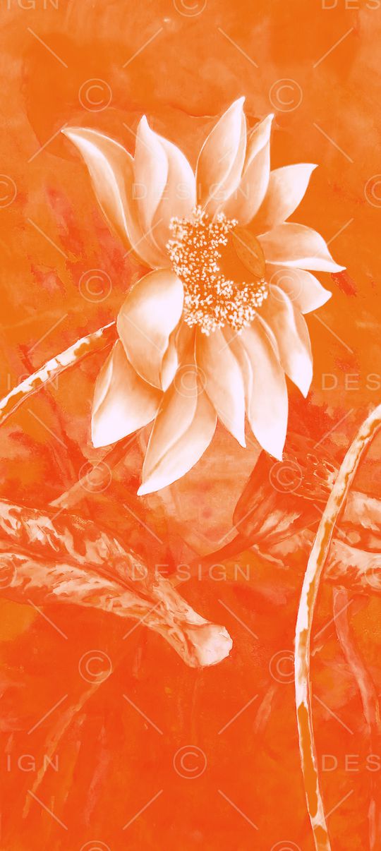 荷花印花华亿平台图片