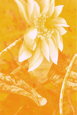 荷花印花华亿平台图片