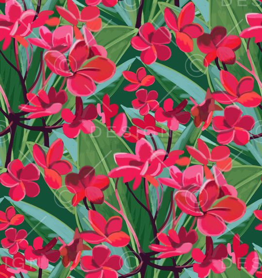 夹竹桃印花华亿平台图片