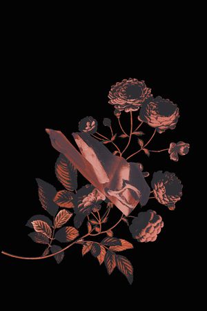 JUST CAVALLI印花华亿平台图片