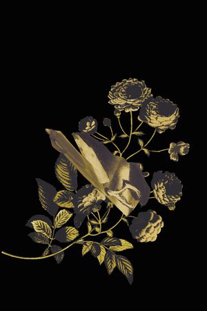 JUST CAVALLI印花华亿平台图片