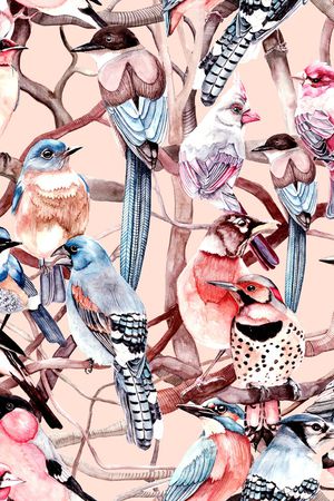 鸟印花华亿平台图片