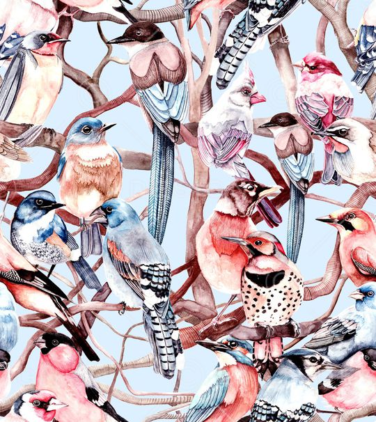 鸟印花华亿平台图片