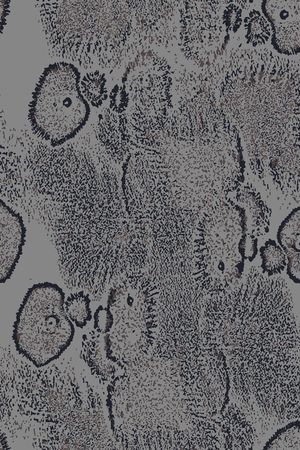 绿植树叶印花华亿平台图片