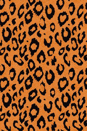 豹纹印花华亿平台图片