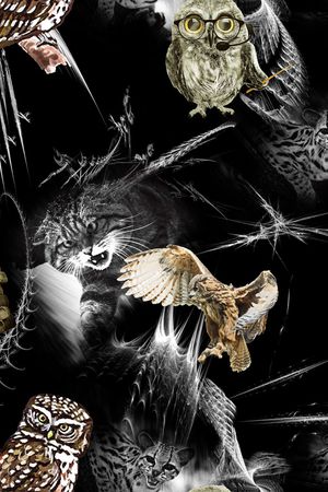 动物印花华亿平台图片