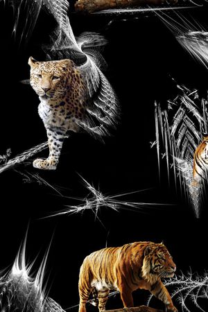 动物印花华亿平台图片