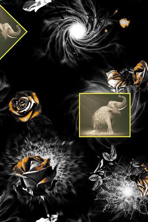 动物印花华亿平台图片