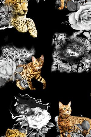 动物印花华亿平台图片