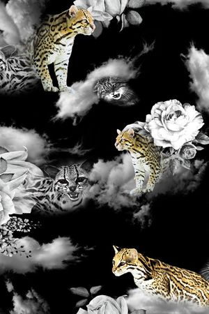 动物印花华亿平台图片