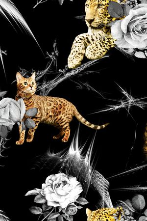 动物印花华亿平台图片