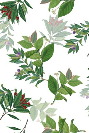 绿植树叶印花华亿平台图片