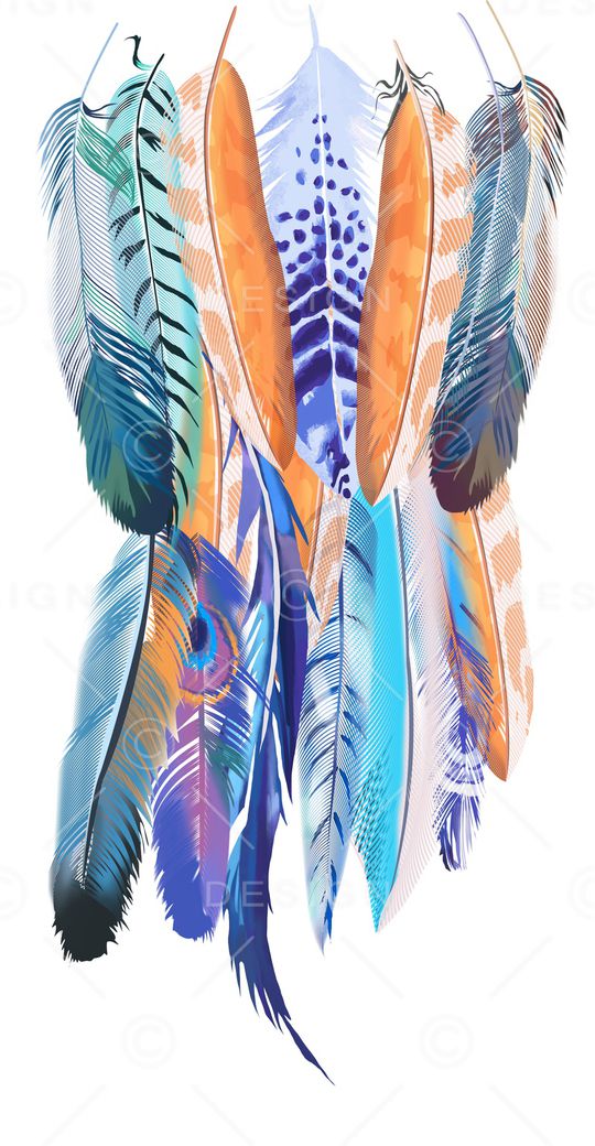 羽毛印花华亿平台图片